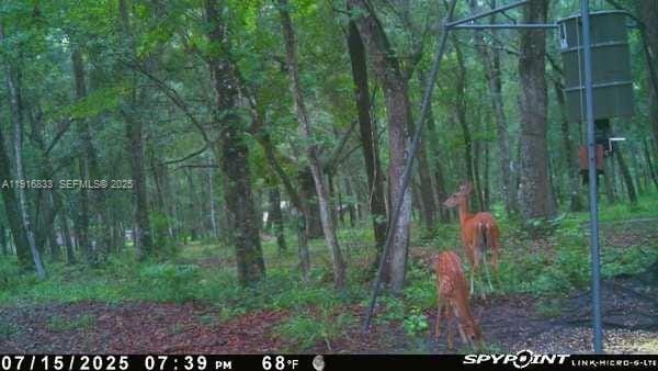 6169 County Road 209 S, FL 32043 photo 20