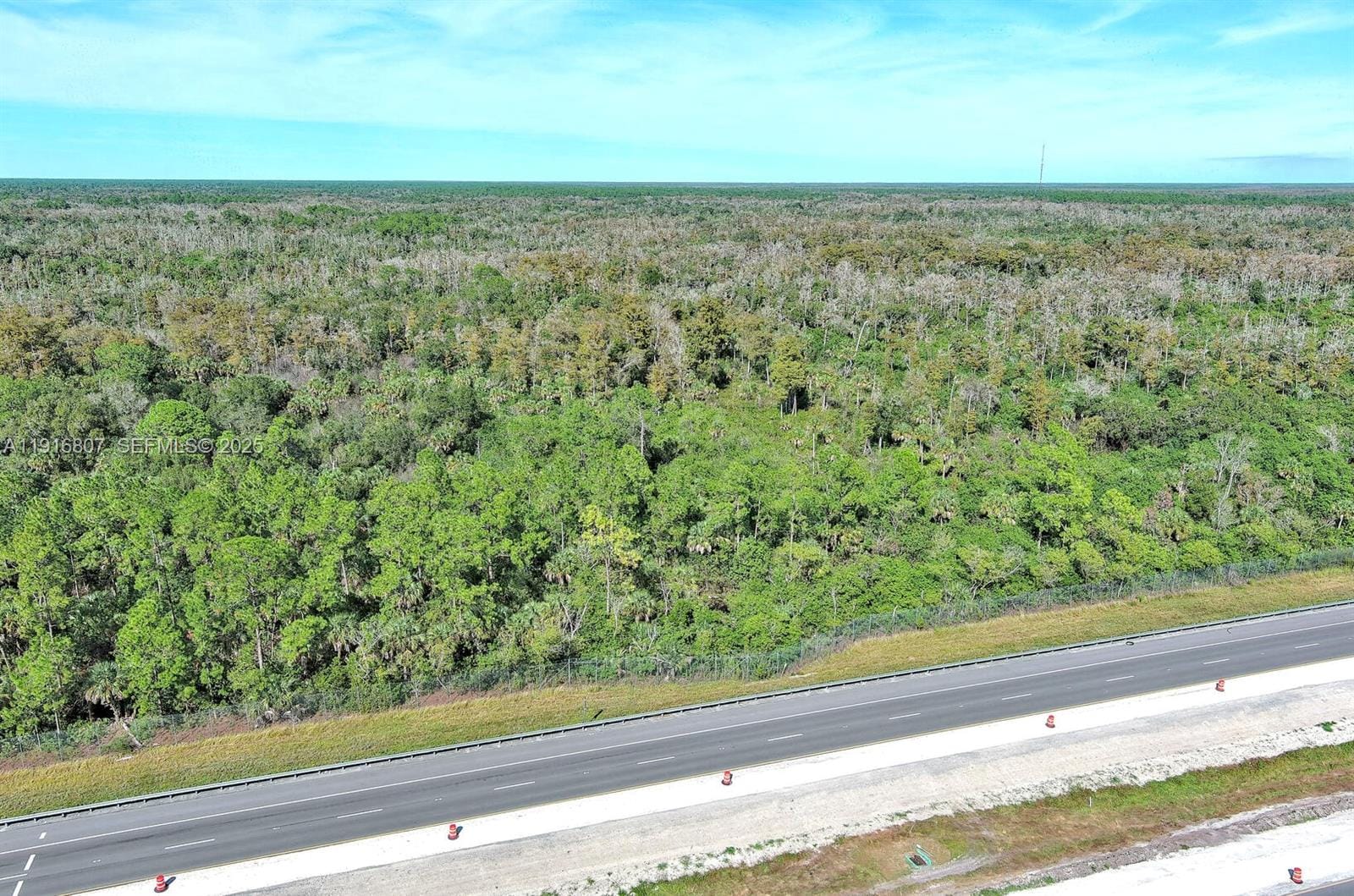 0 Alligator Alley, Naples, FL 34117 photo 6
