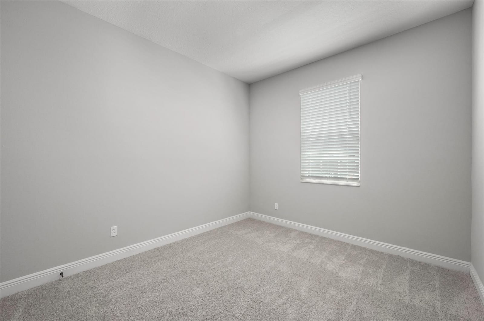 1813 Gaiety Way — photo 11