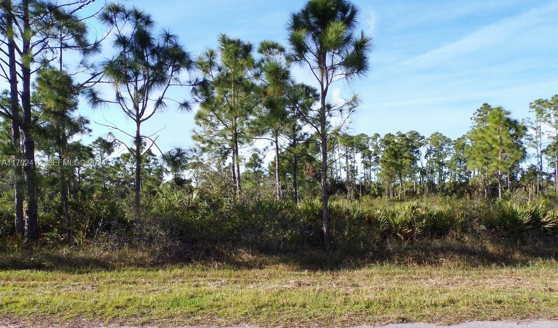 12090 Kraft Avenue, Port Charlotte, FL 33953, Port Charlotte
