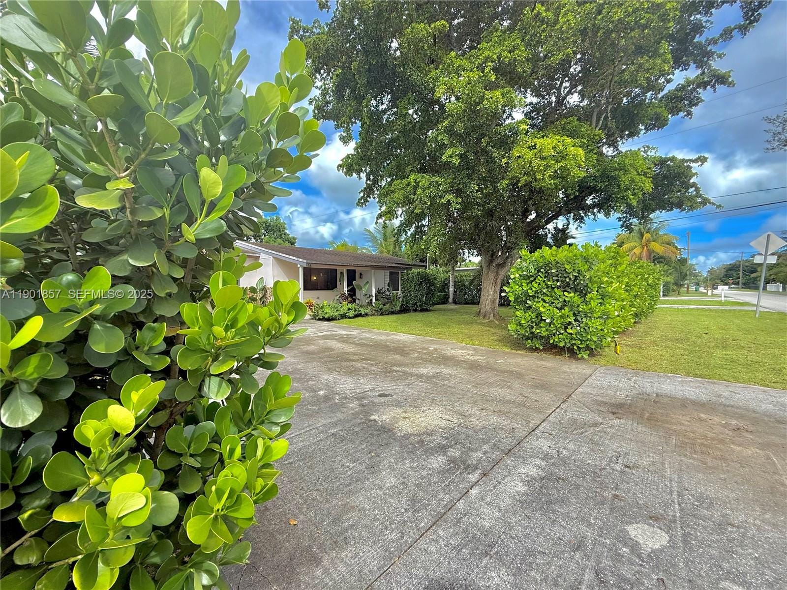 125 NE 150th Street, Miami, FL 33161 photo 6