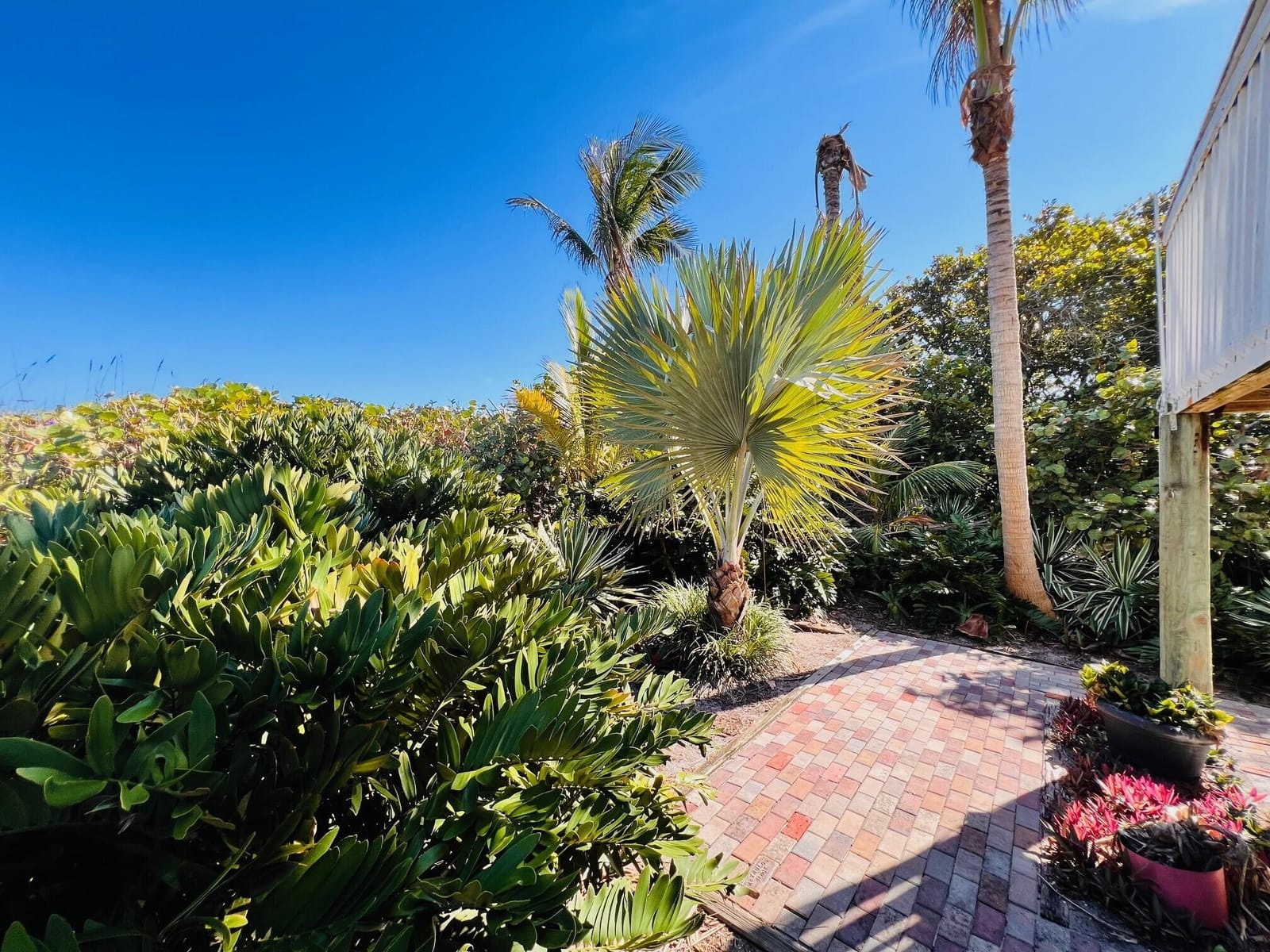 310 S Ocean Drive B, Fort Pierce, FL 34949 photo 13