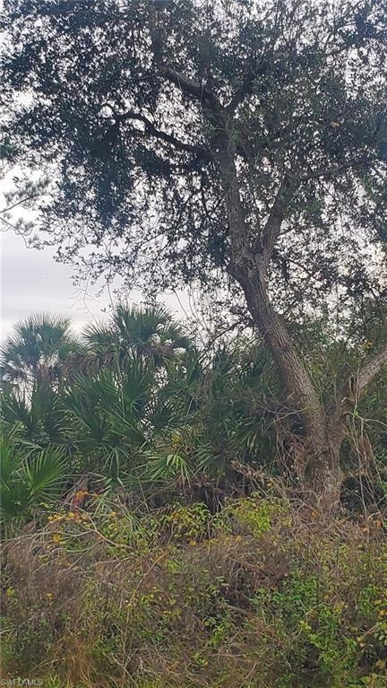 315 Ivanhoe Avenue, LaBelle, FL 33935, Labelle
