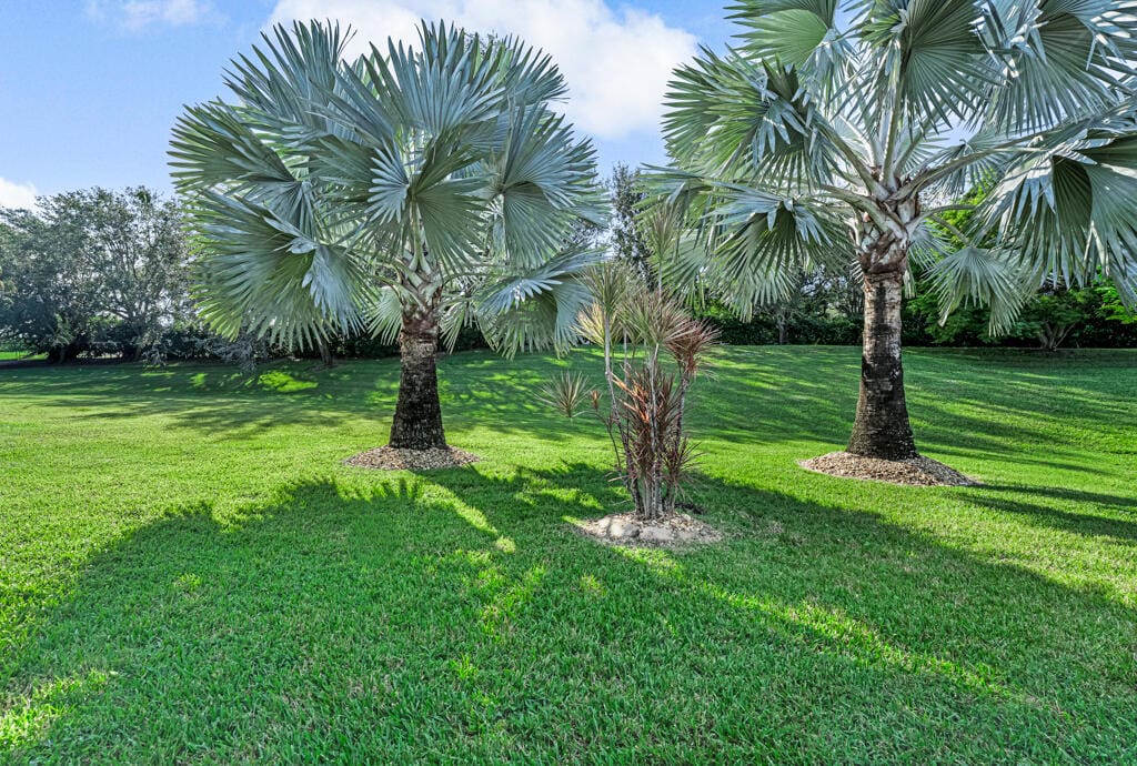 9174 Bay Point Circle, West Palm Beach, FL 33411 photo 12