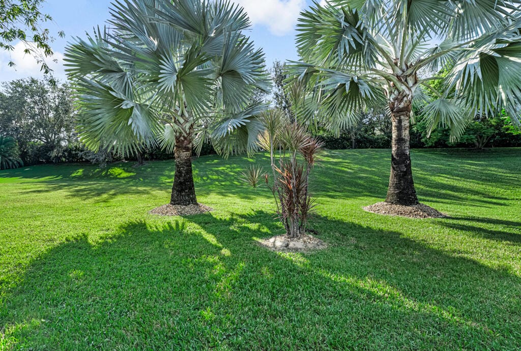9174 Bay Point Circle, West Palm Beach, FL 33411 photo 7