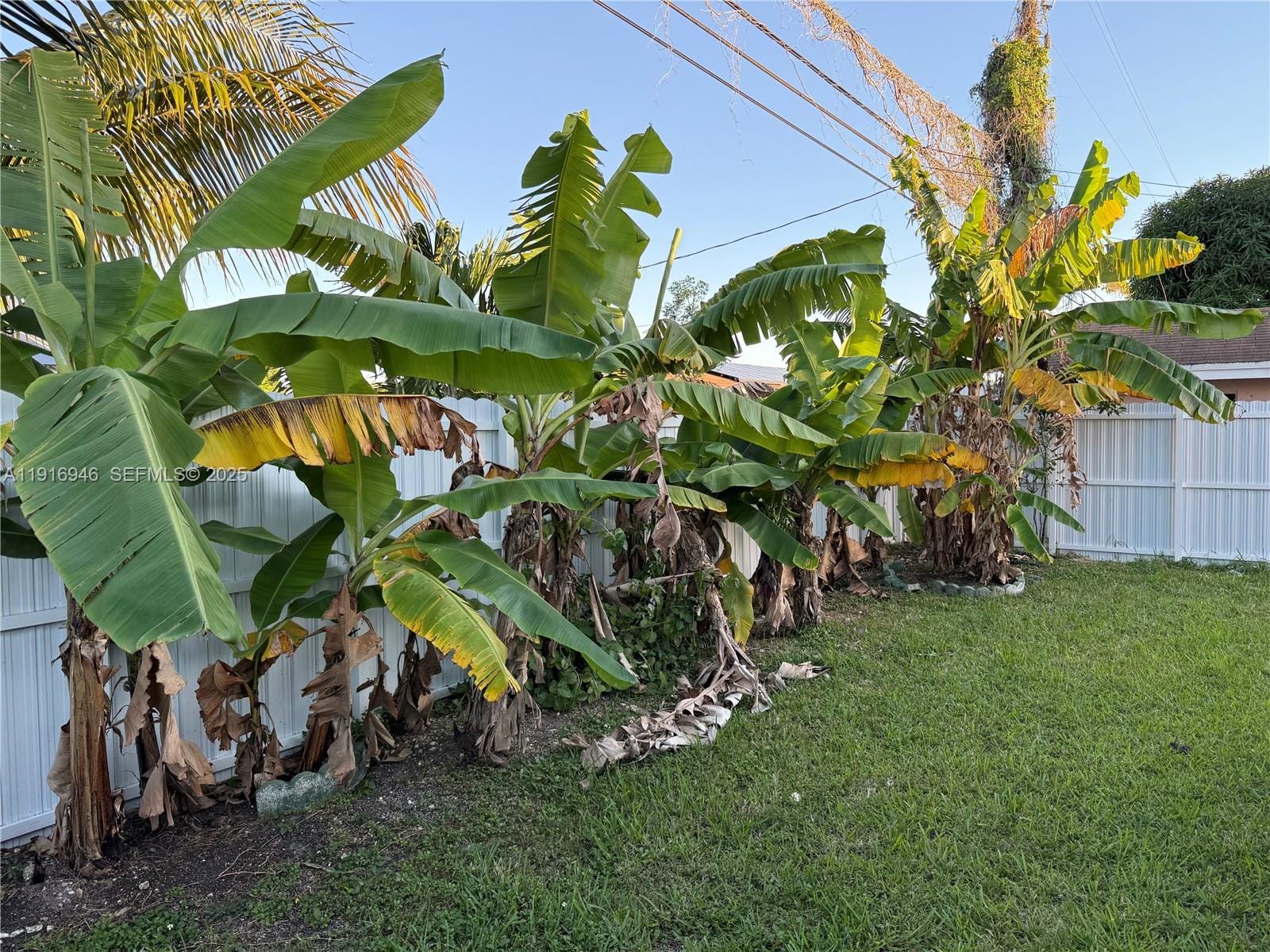 16605 SW 103rd Court, Miami, FL 33157 photo 21