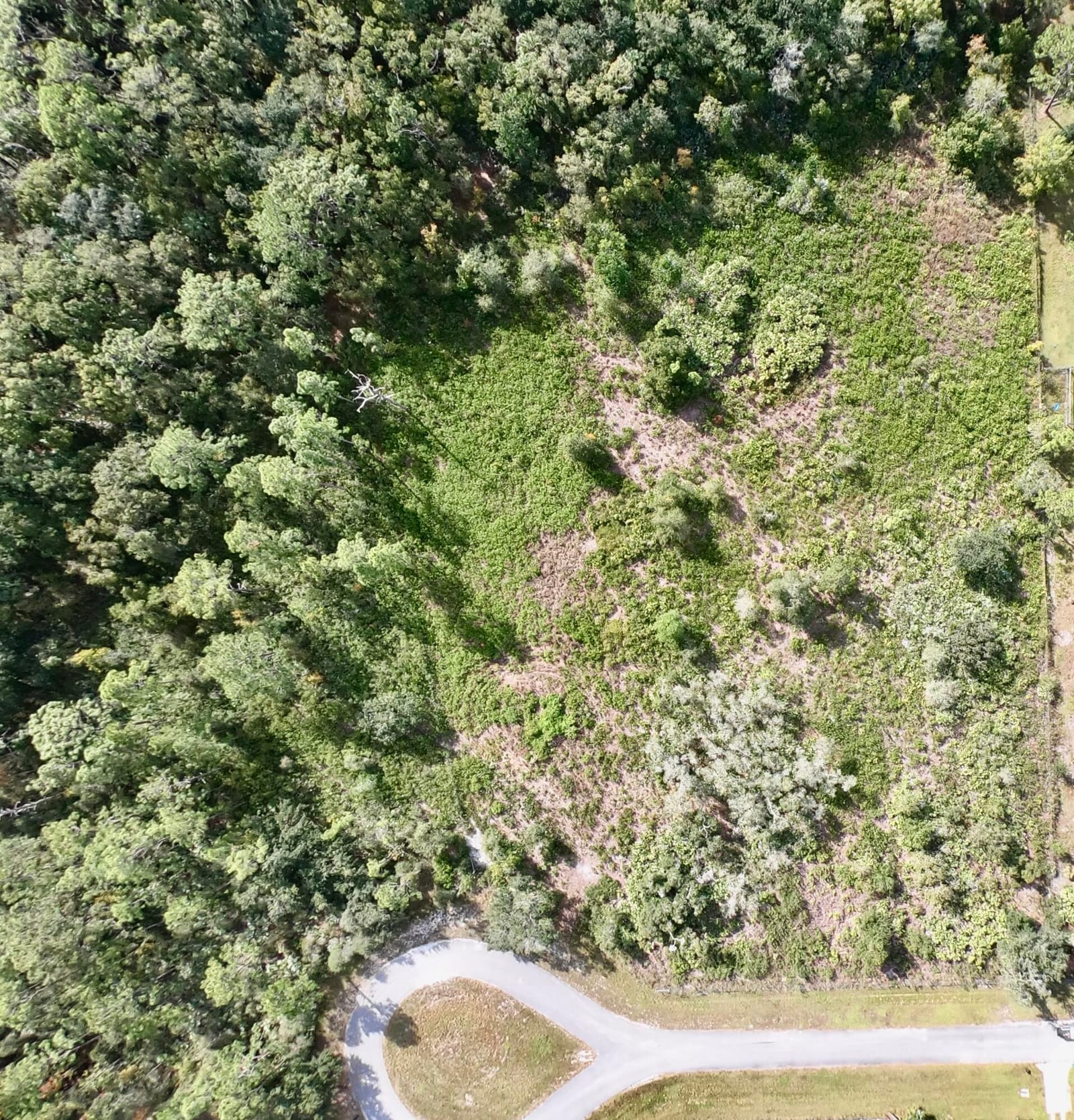 39603 NW 19th Avenue, Okeechobee, FL 34972 photo 3