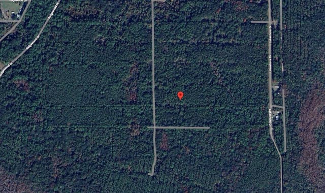 208 Garrison Avenue, Georgetown, FL 32139