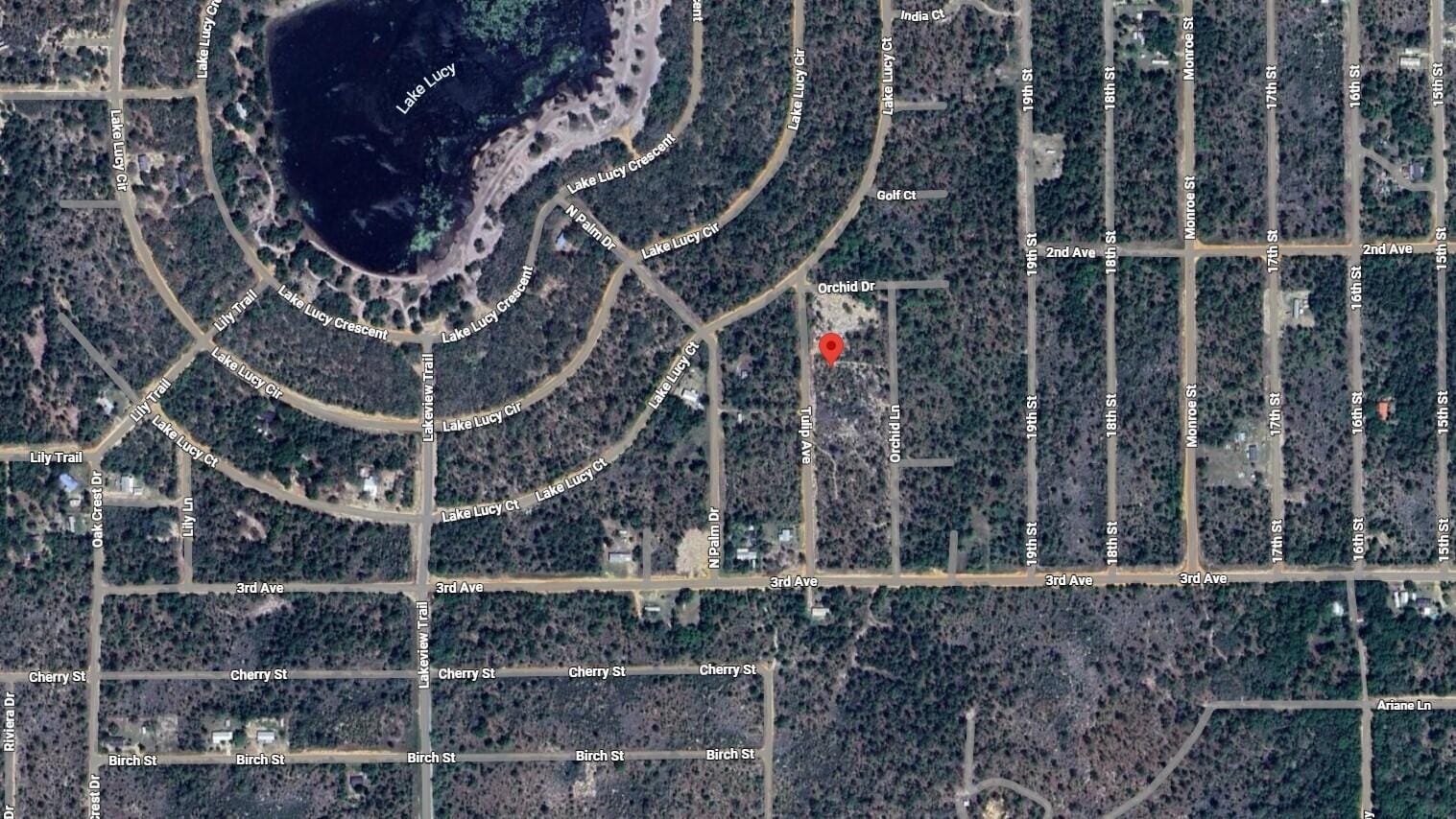 116 Tulip Avenue, Interlachen, FL 32148 photo 3