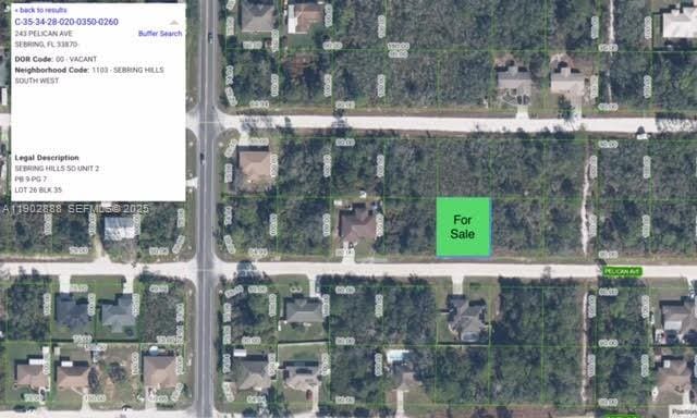 243 Pelican Avenue, Sebring, FL 33870