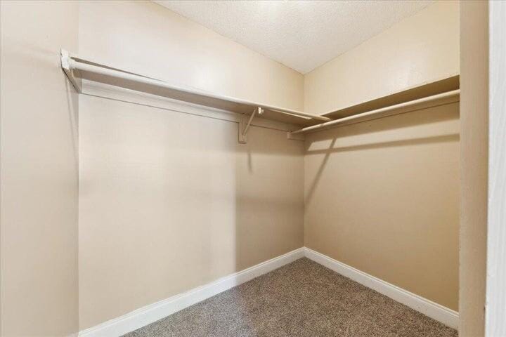 2251 NW 48th Terrace 100, Lauderhill, FL 33313 photo 15