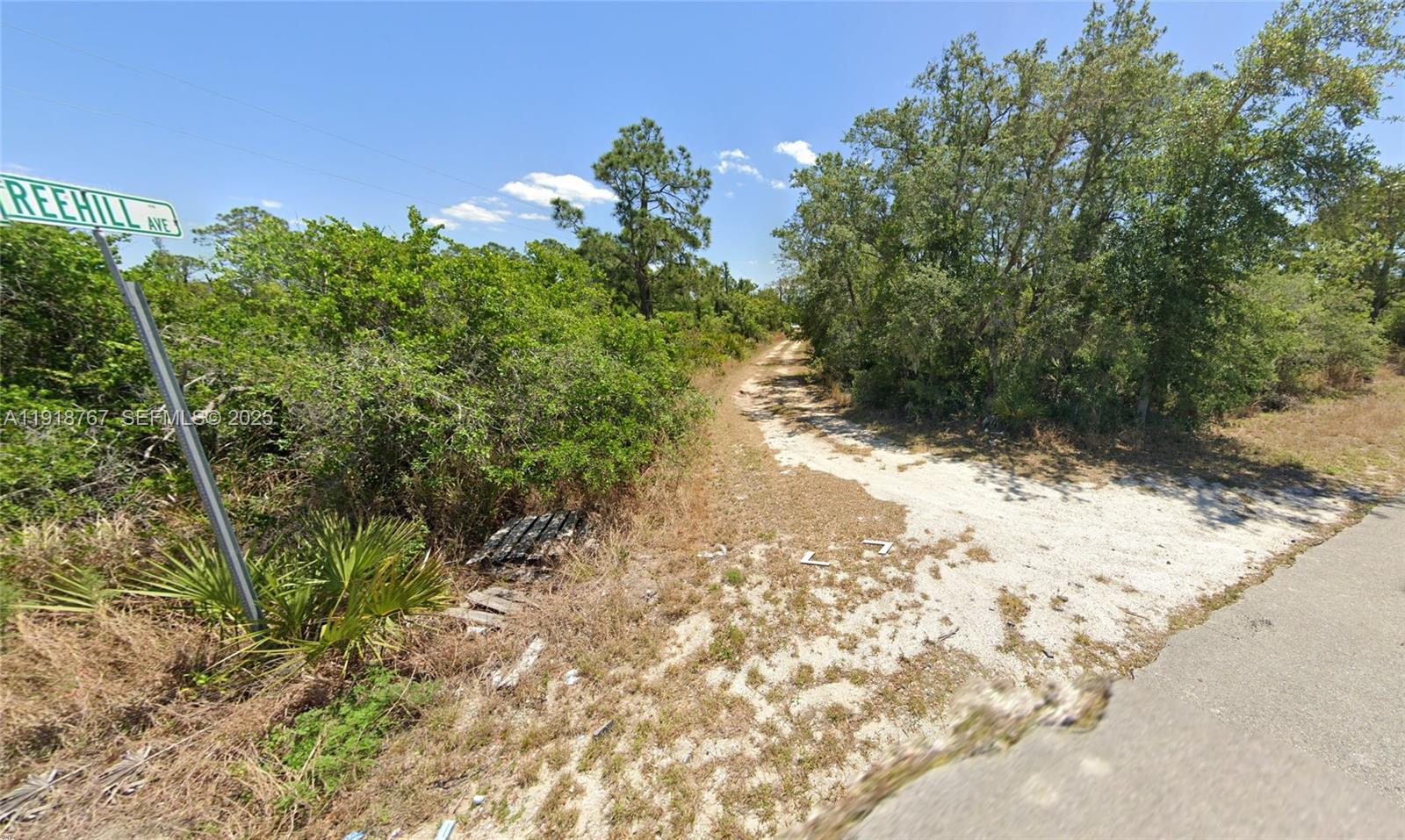 1027 Freehill Avenue, Lake Placid, FL 33071, Lake Placid