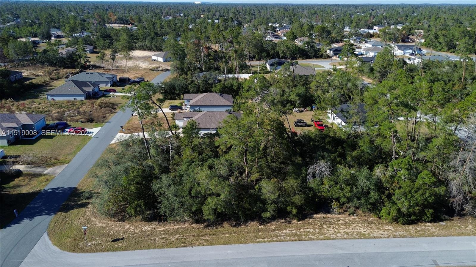 0 SW 167th Loop, Ocala, FL 34473 photo 3