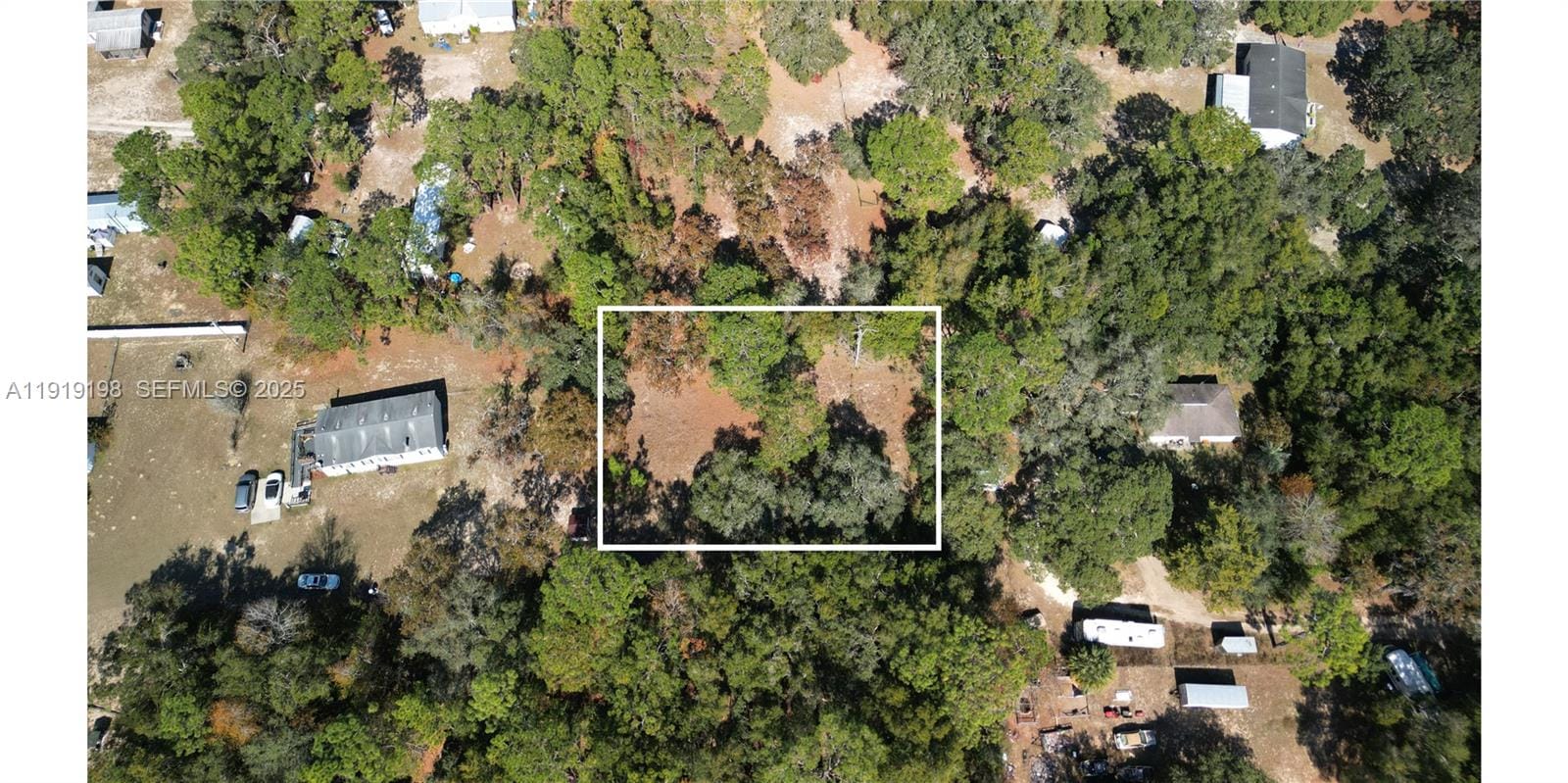 1163 E Canvas Lane, FL 34442