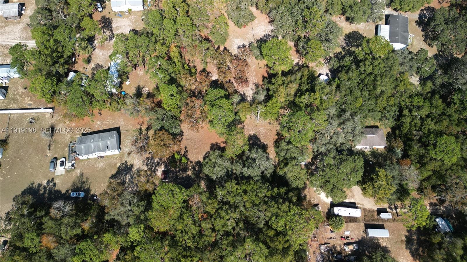 1163 E Canvas Lane, FL 34442 photo 12