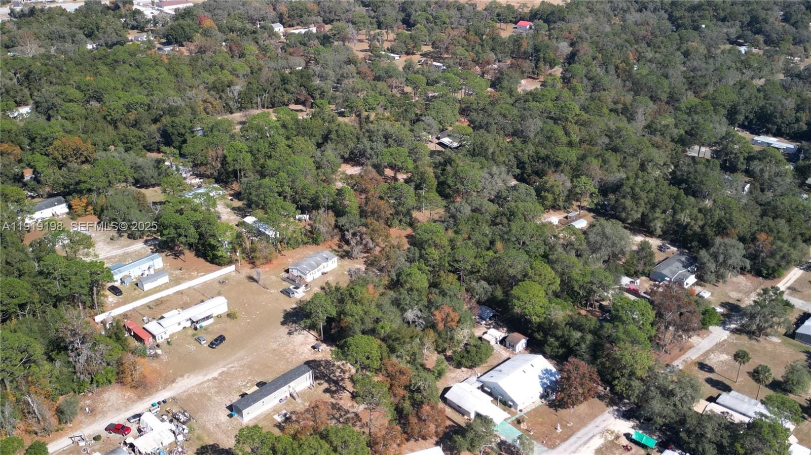 1163 E Canvas Lane, FL 34442 photo 17