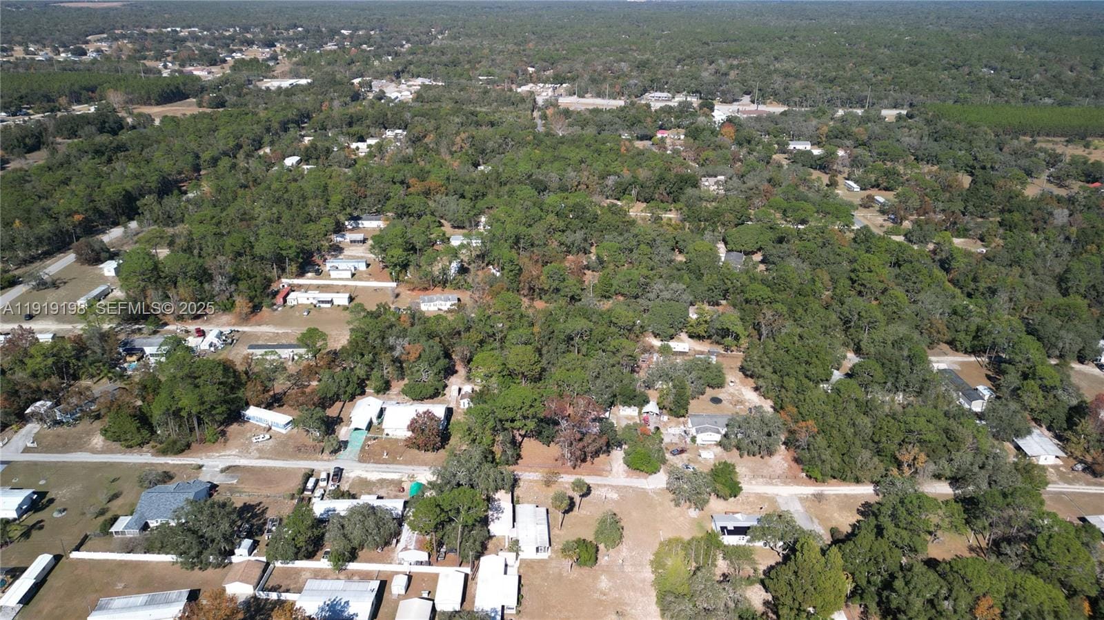 1163 E Canvas Lane, FL 34442 photo 21
