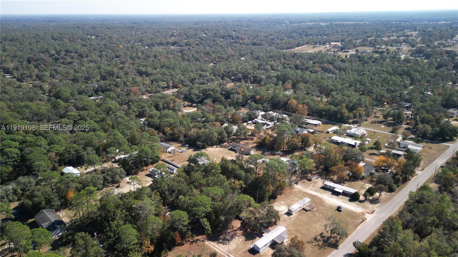 1163 E Canvas Lane, FL 34442 photo 25