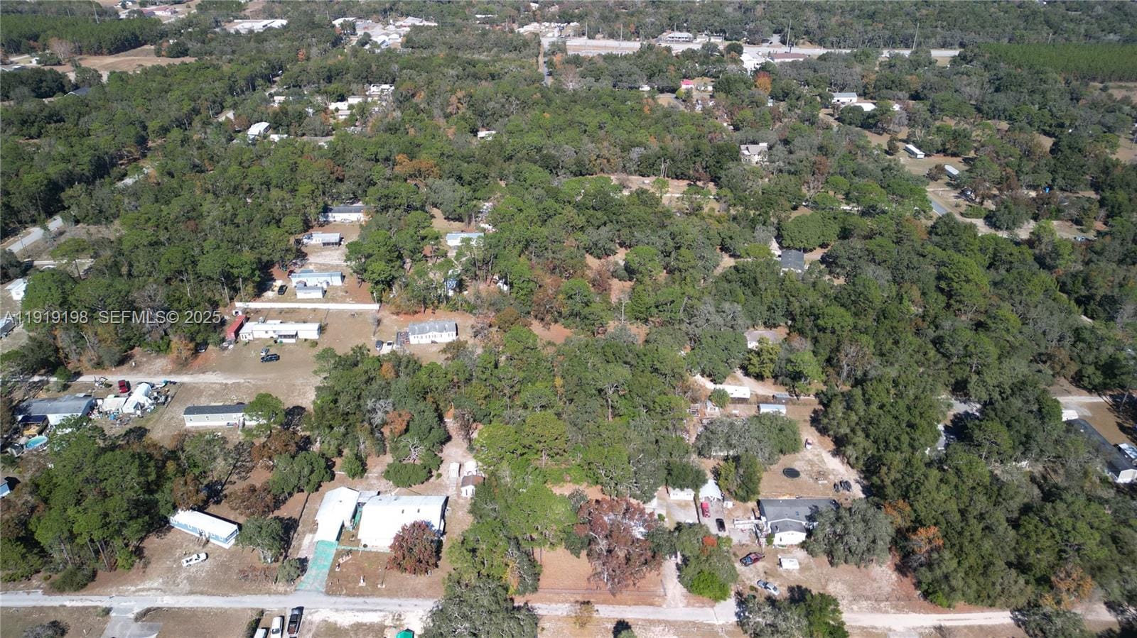 1163 E Canvas Lane, FL 34442 photo 27