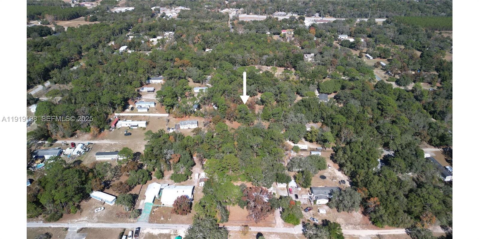 1163 E Canvas Lane, FL 34442 photo 5