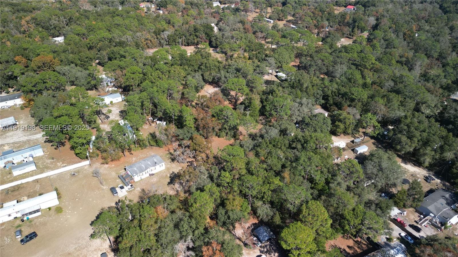 1163 E Canvas Lane, FL 34442 photo 10