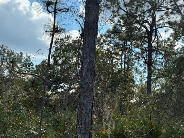 Lot 21 & 22 Plumosa Drive, Indian Lake Estates, FL 33655