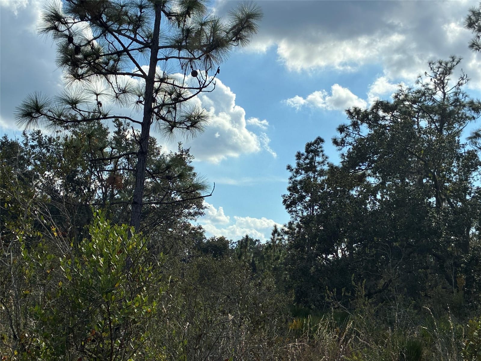 Lot 21 & 22 Plumosa Drive — photo 2