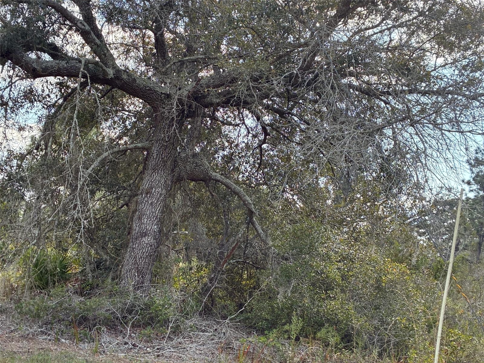 Lot 21 & 22 Plumosa Drive — photo 3