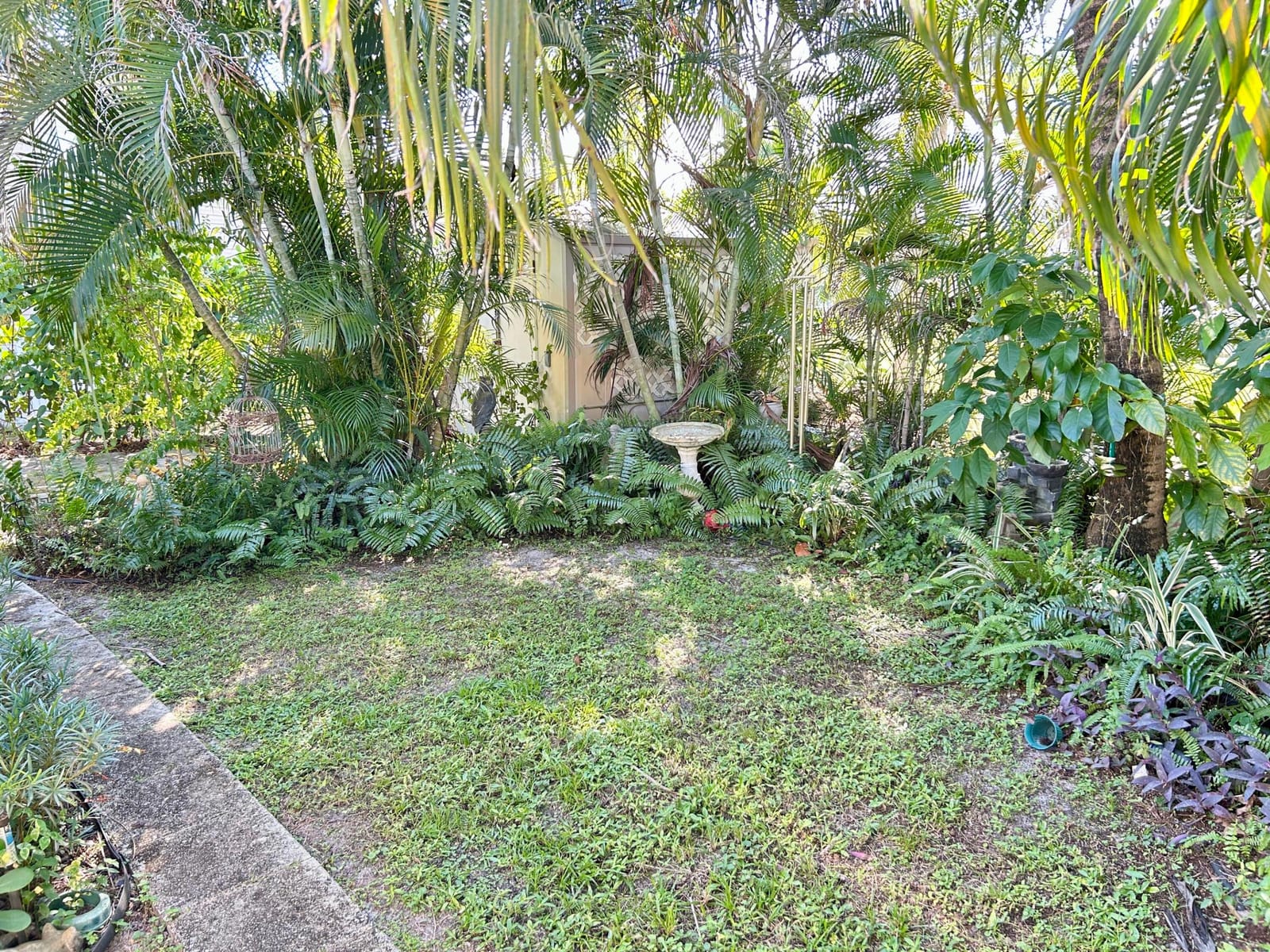 425 E Bougainvillea Drive — photo 7