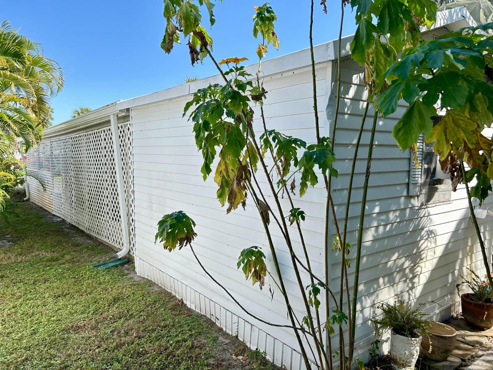 425 E Bougainvillea Drive — photo 10