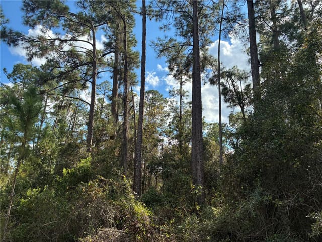 Lot 15 Park Avenue, Indian Lake Estates, FL 33855