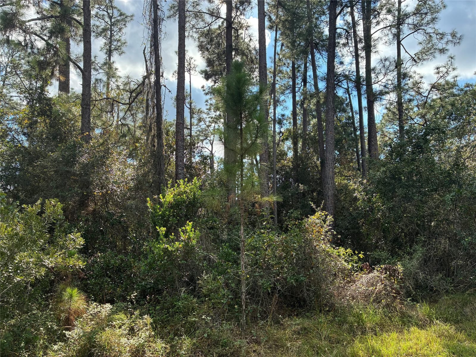 Lot 15 Park Avenue — photo 2