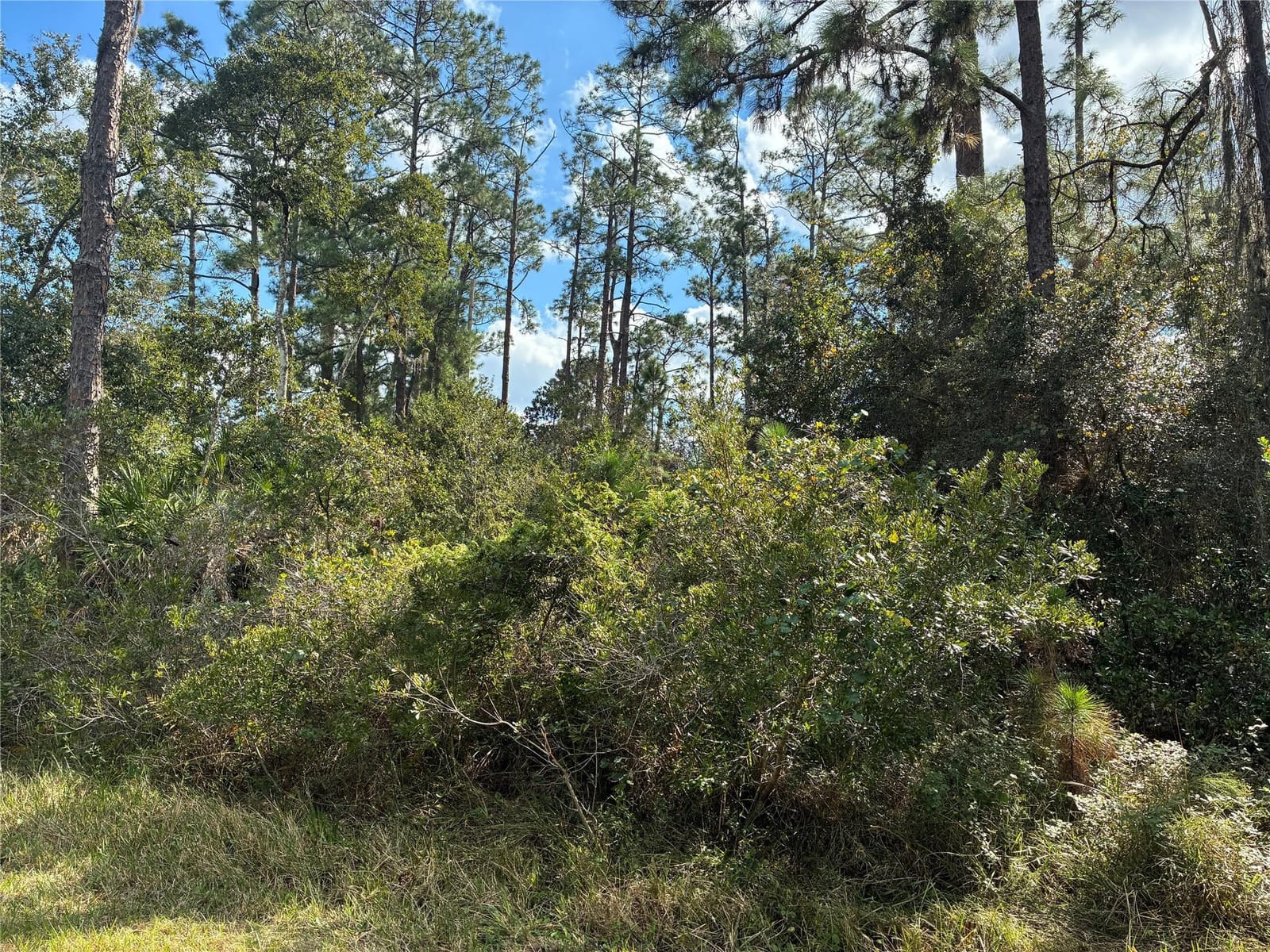 Lot 15 Park Avenue — photo 3