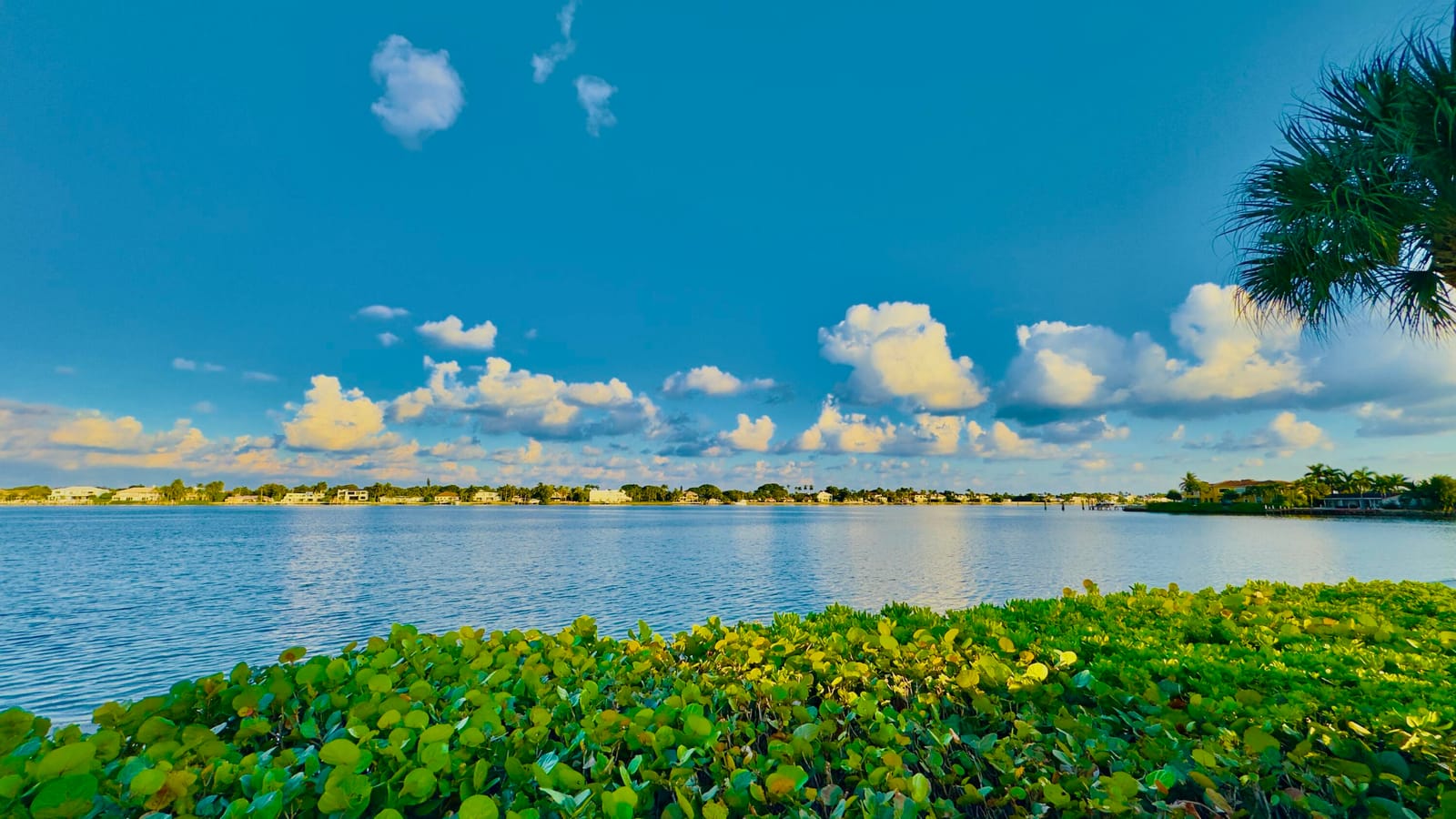 107 Half Moon Circle A3, Hypoluxo, FL 33462 photo 12