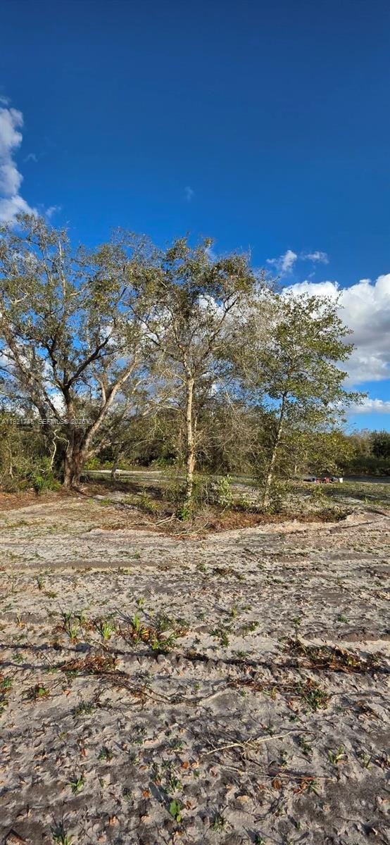 18678 NW 284 Street, Okeechobee, FL 34972 photo 13
