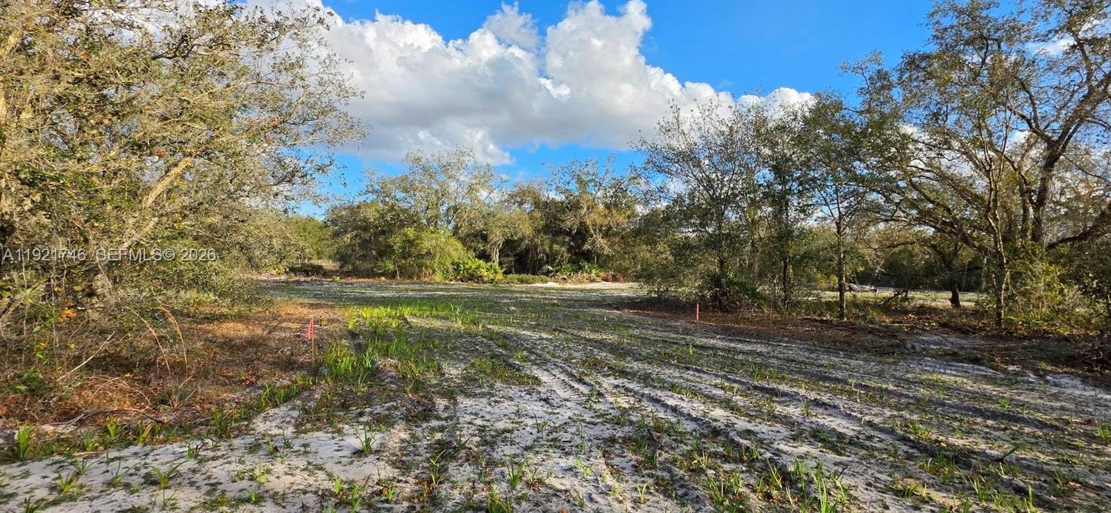 18678 NW 284 Street, Okeechobee, FL 34972 photo 20