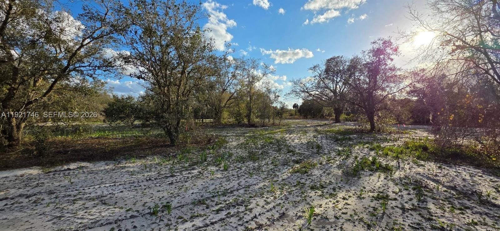 18678 NW 284 Street, Okeechobee, FL 34972 photo 3