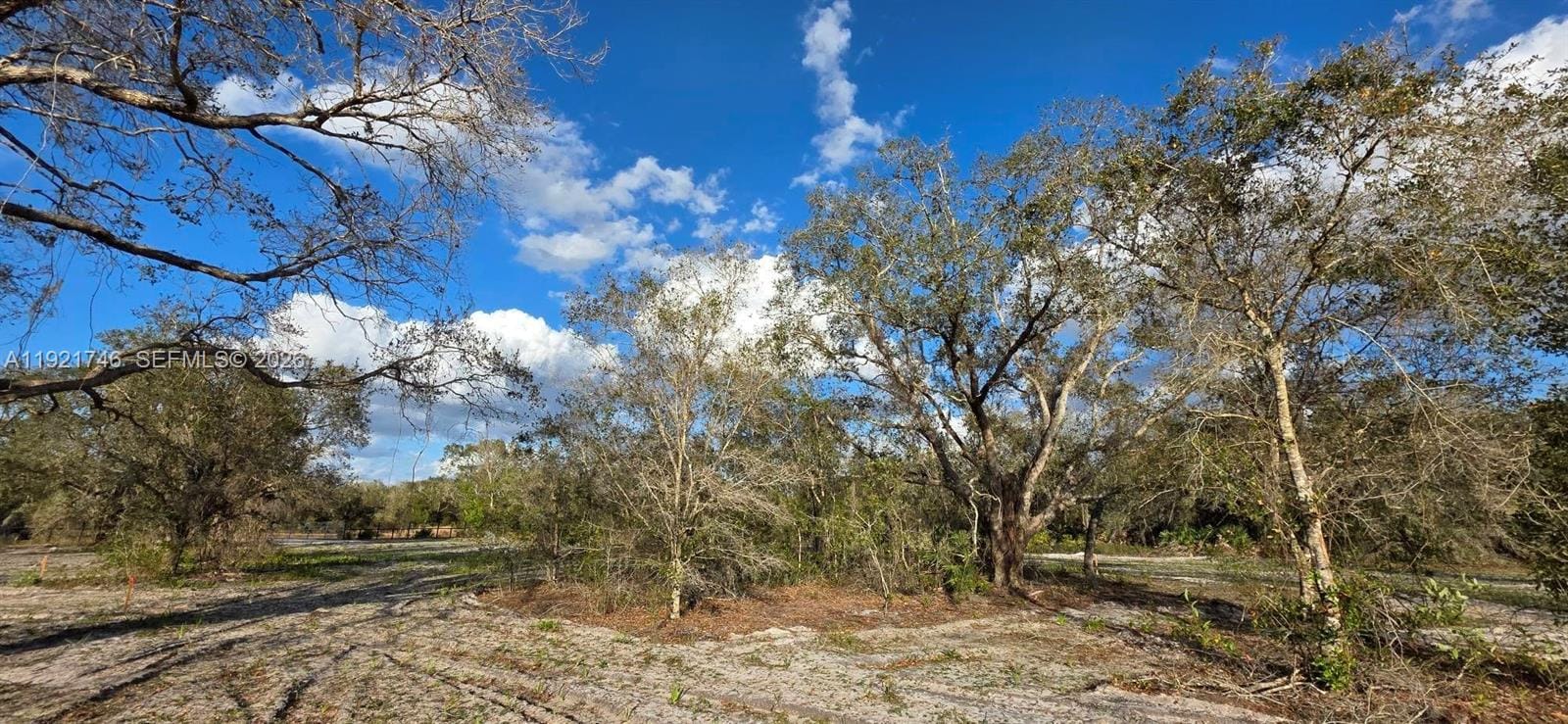 18678 NW 284 Street, Okeechobee, FL 34972 photo 6