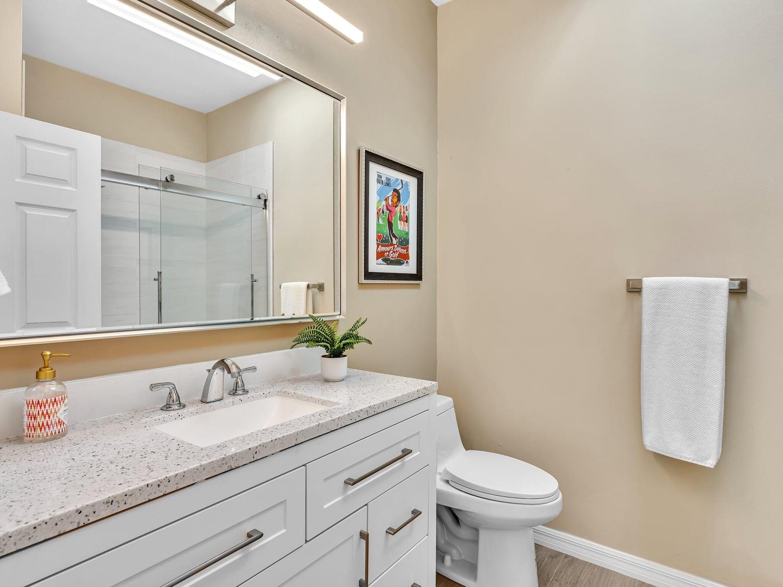 6250 Evian Place, Boynton Beach, FL 33437 photo 24