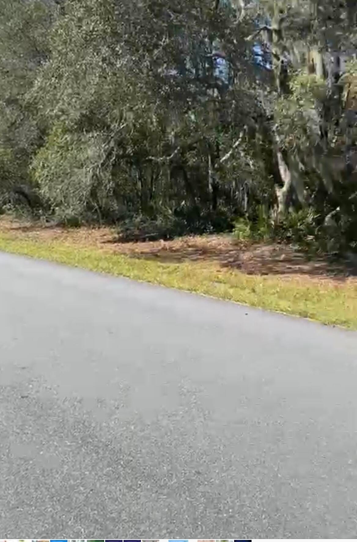 4017 SW 133rd Loop — photo 3