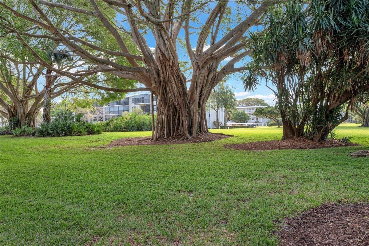 300 N Highway A1a 104o, Jupiter, FL 33477 photo 18