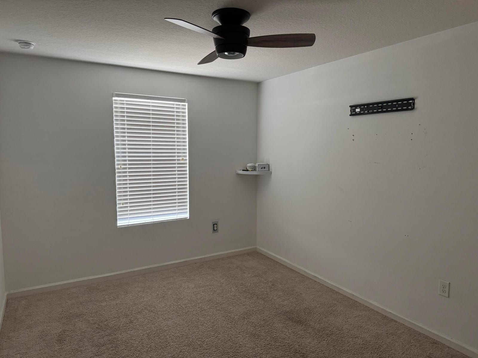 11217 SW Sophronia Street — photo 7