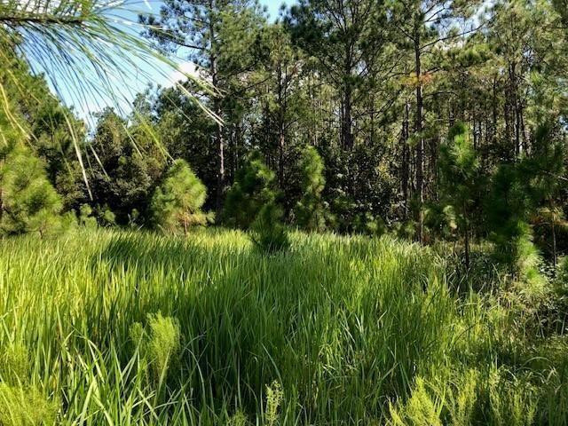 0 Old Grade Road, FL 33868, Polk City