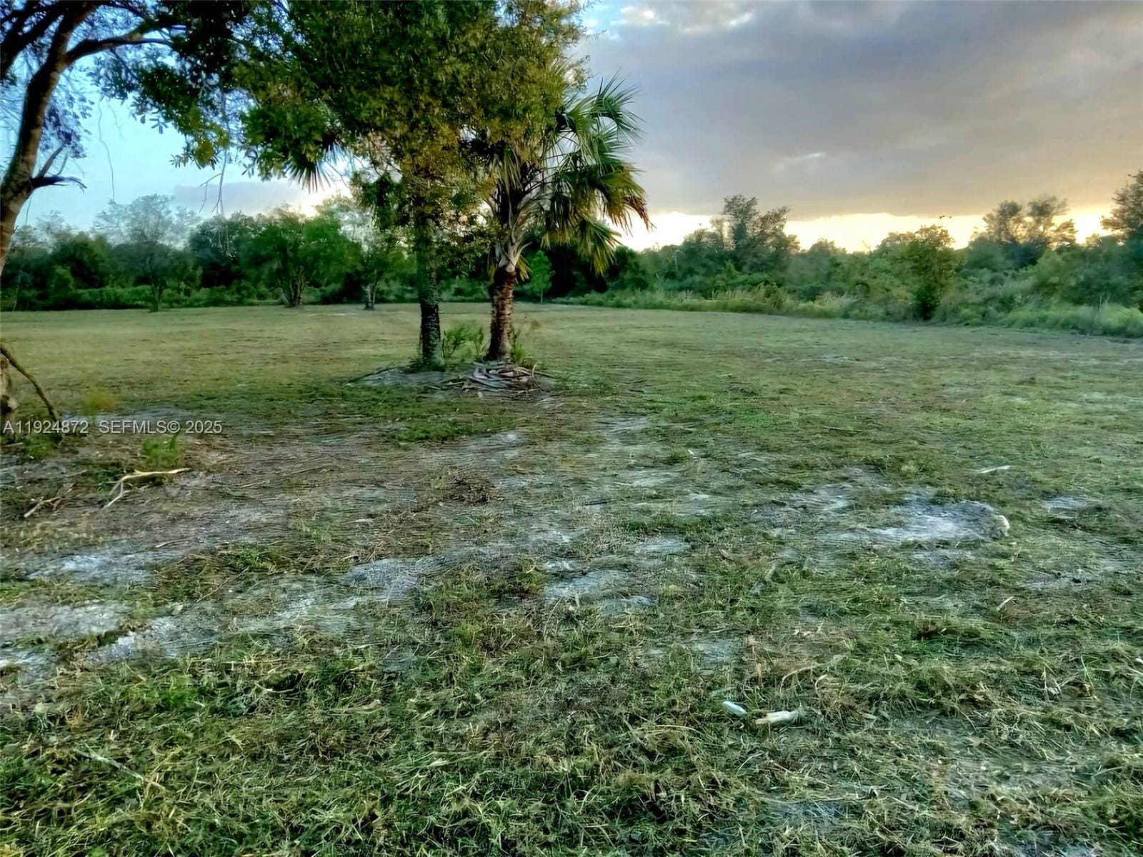 17212 NW 288 Street, Okeechobee, FL 34972 photo 2