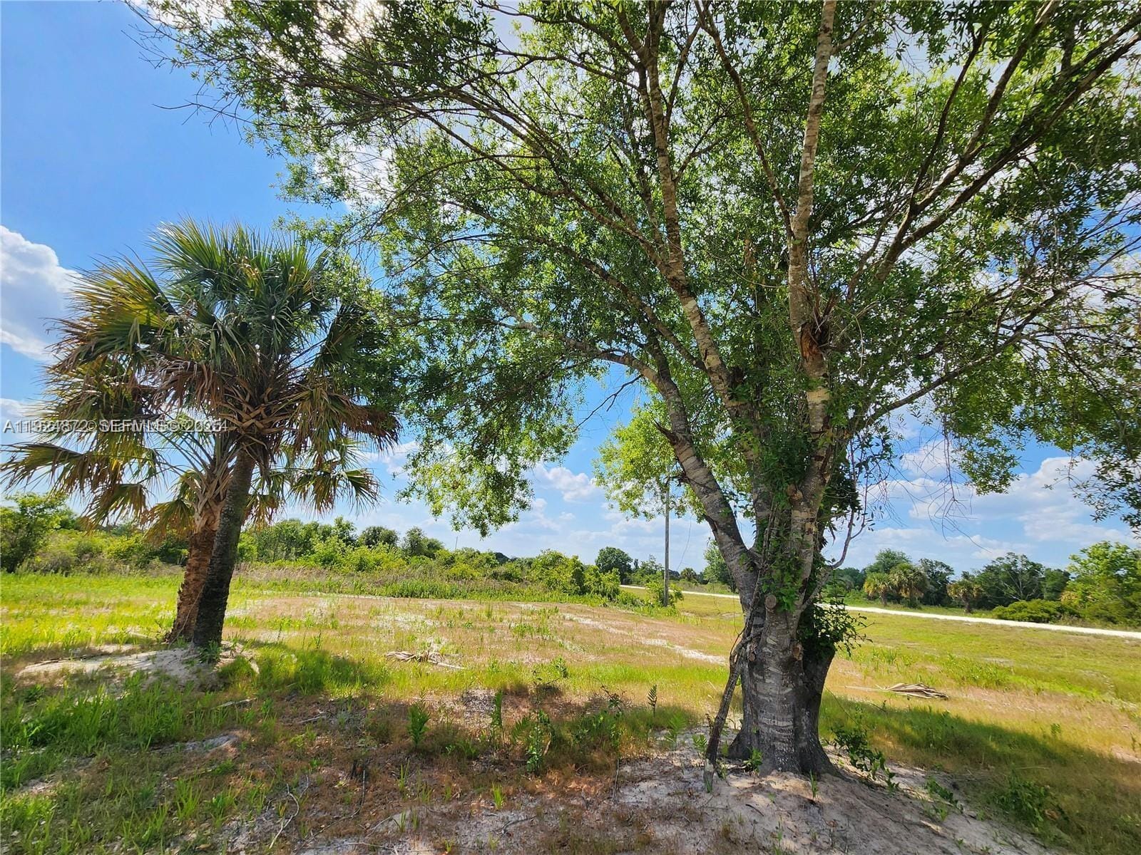 17212 NW 288 Street, Okeechobee, FL 34972 photo 11