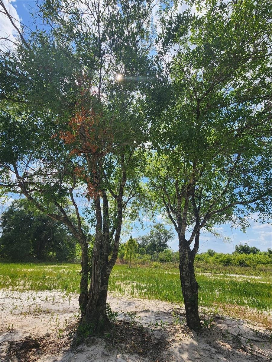 17212 NW 288 Street, Okeechobee, FL 34972 photo 13