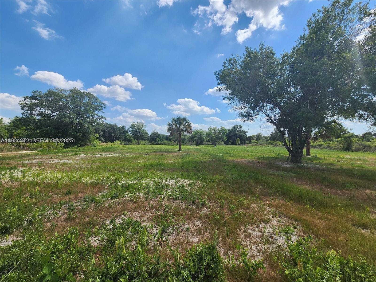 17212 NW 288 Street, Okeechobee, FL 34972 photo 14