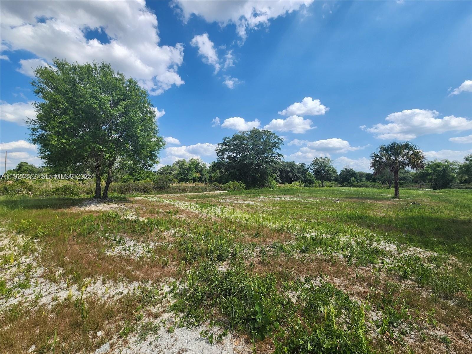 17212 NW 288 Street, Okeechobee, FL 34972 photo 18