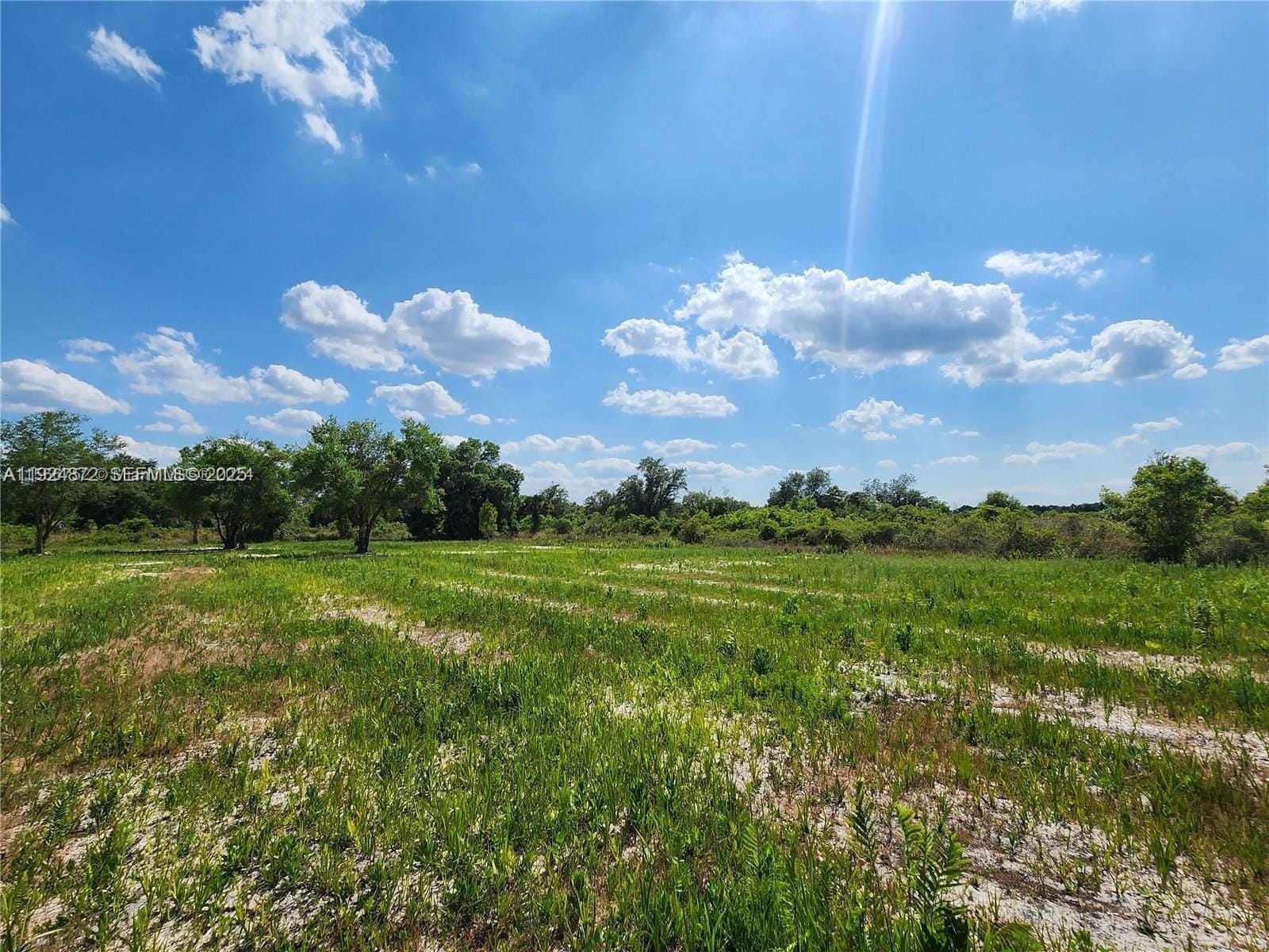 17212 NW 288 Street, Okeechobee, FL 34972 photo 20