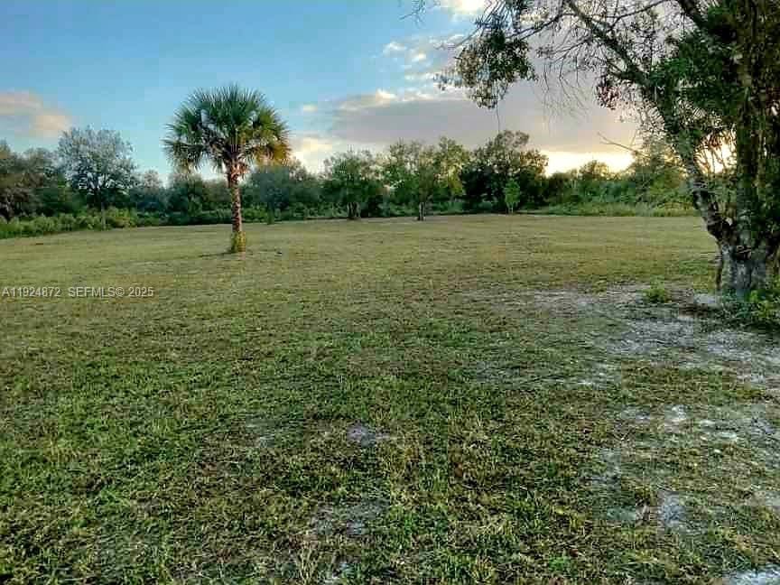 17212 NW 288 Street, Okeechobee, FL 34972 photo 3